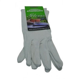 Gloves - Budget Cotton - Medium - (GW093)